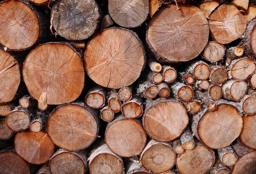 Влажность древесины